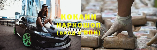шишки Алексин