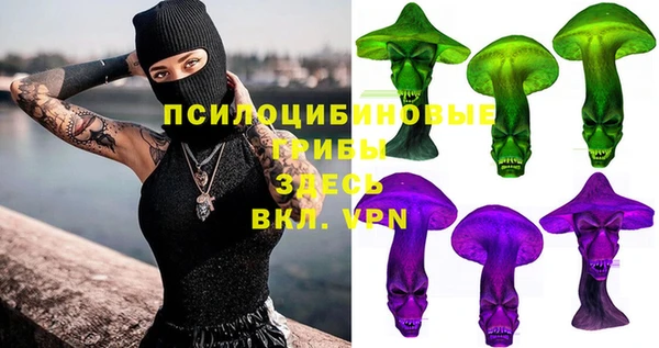 винт Алзамай