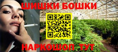 индика Бийск