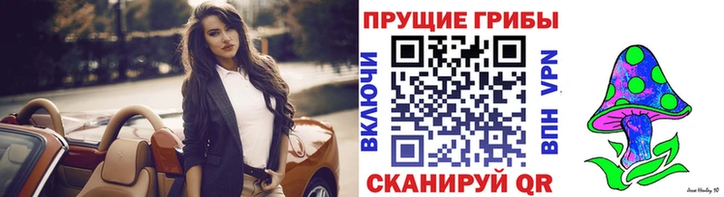 Псилоцибиновые грибы мицелий  мега как войти  Выкса 