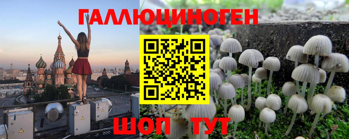 закладка  Галлюциногенные грибы Magic Shrooms  Выкса  Галлюциногенные грибы MAGIC MUSHROOMS 