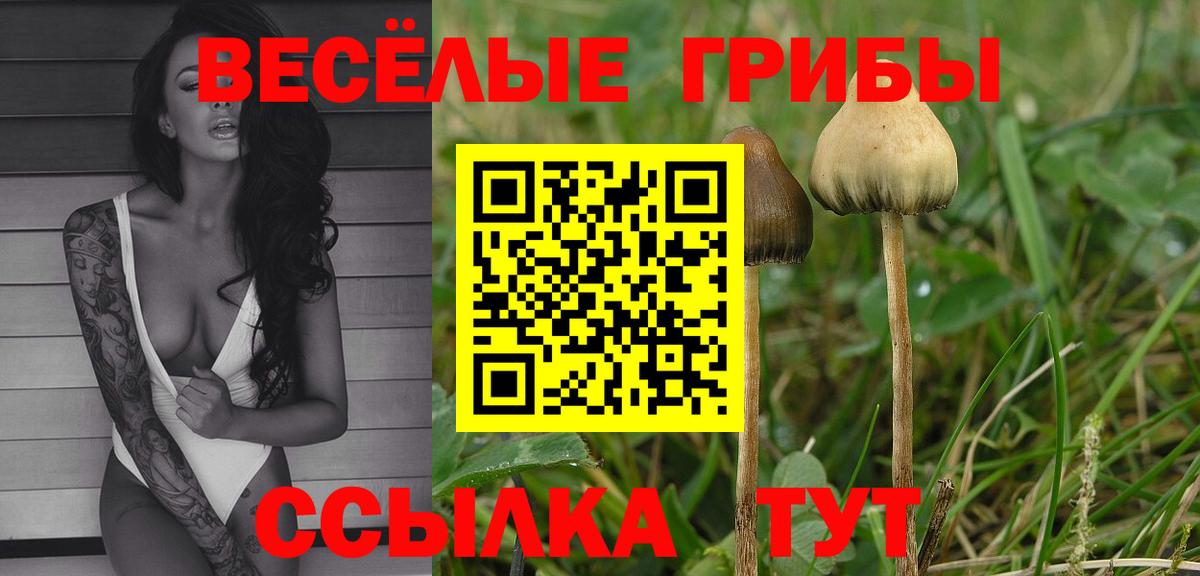 Выкса  ГАШ  МАРИХУАНА  Вход с VPN  Меф  