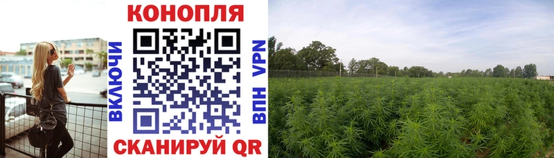 Шишки марихуана SATIVA & INDICA  магазин продажи   Выкса 
